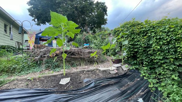 3525 Yukon Avenue S, Saint Louis Park, MN 55426