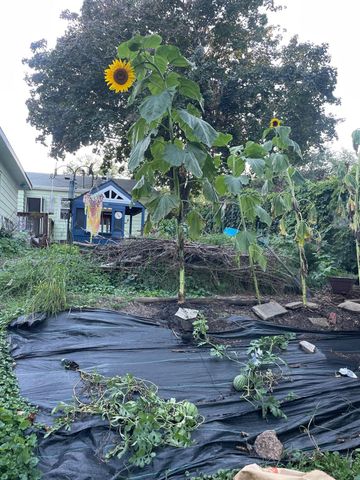 3525 Yukon Avenue S, Saint Louis Park, MN 55426