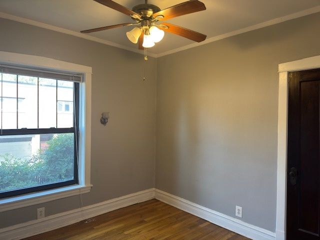 313 N Oak Park Avenue 1B, Oak Park, IL 60302