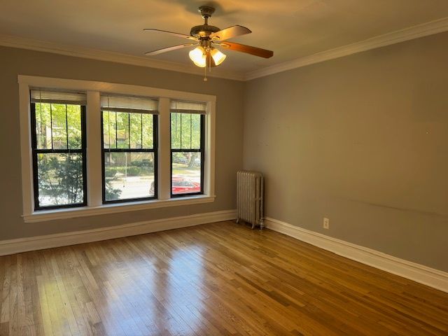 313 N Oak Park Avenue 1B, Oak Park, IL 60302