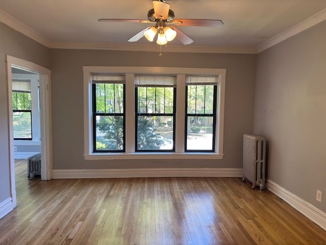 313 N Oak Park Avenue 1B, Oak Park, IL 60302