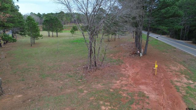 Tract 1 000 FM 2493 E, Bullard, TX 75757