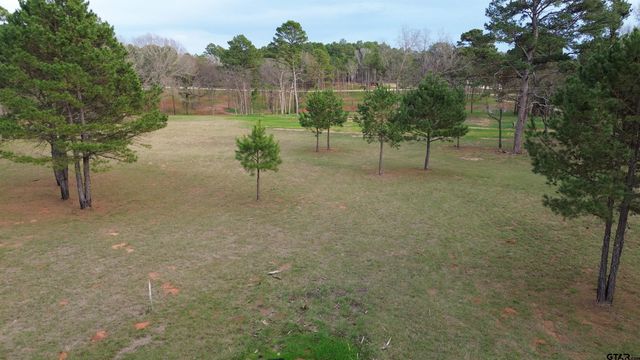Tract 1 000 FM 2493 E, Bullard, TX 75757