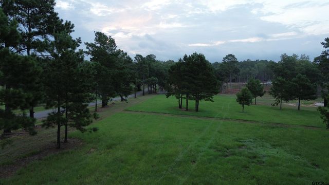 Tract 1 000 FM 2493 E, Bullard, TX 75757