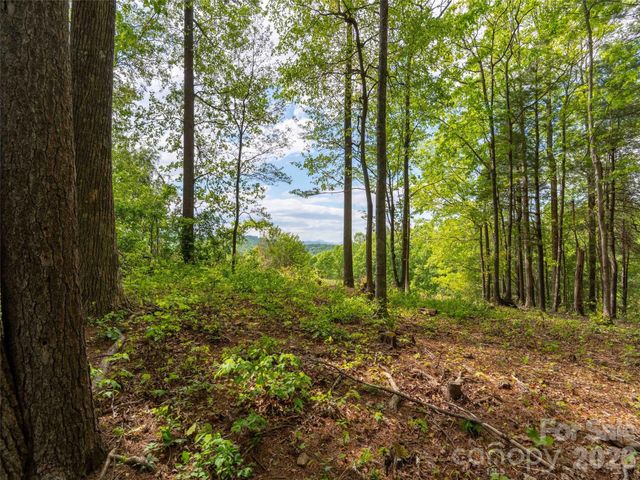 661 Whites Lake Boulevard, Saluda, NC 28773
