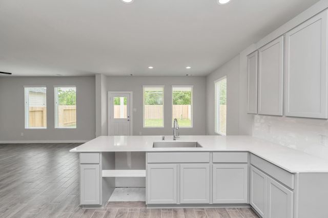 14803 Freestone Plum Ct, Houston, TX 77049