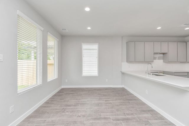 14803 Freestone Plum Ct, Houston, TX 77049
