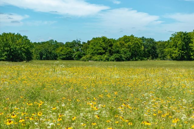 Lot 1 State Hwy 19 & RS CR 1150, Emory, TX 75440