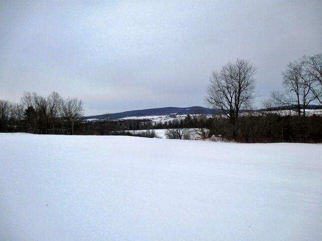 1308 Number 12 Road, Newport Town, VT 05857