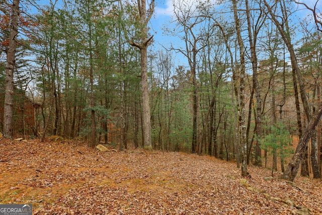 4542 Clear Creek Road, Ellijay, GA 30536