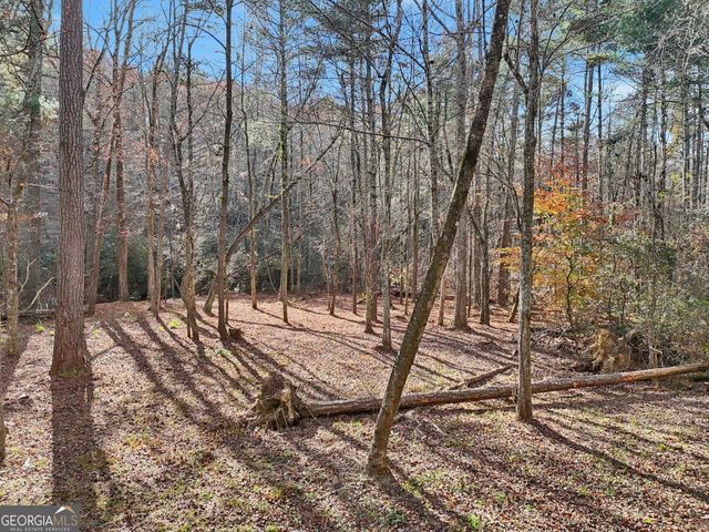4542 Clear Creek Road, Ellijay, GA 30536