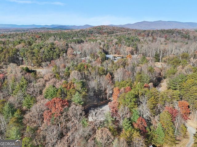 4542 Clear Creek Road, Ellijay, GA 30536