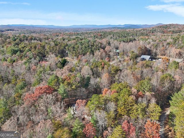 4542 Clear Creek Road, Ellijay, GA 30536