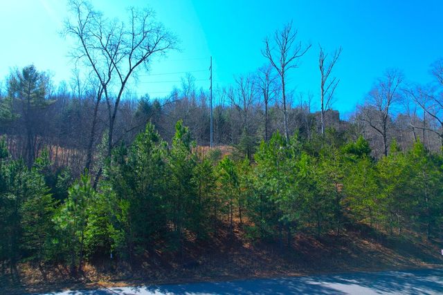 Lot 111 Katherine, Blairsville, GA 30512