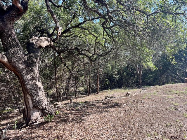 753 Appaloosa DR, Fischer, TX 78623