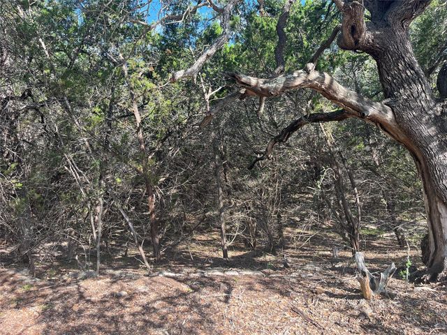 753 Appaloosa DR, Fischer, TX 78623