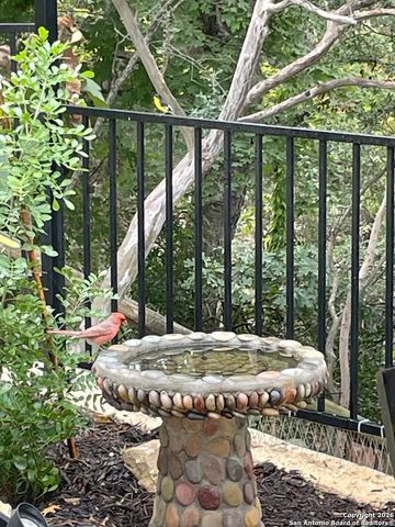 29607 Terra Bella, Boerne, TX 78015