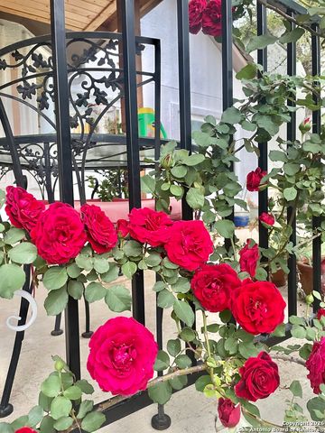 29607 Terra Bella, Boerne, TX 78015