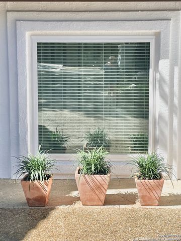 29607 Terra Bella, Boerne, TX 78015