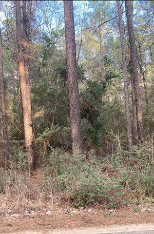 0 Pinebrook Lot 77, Plantersville, TX 77363