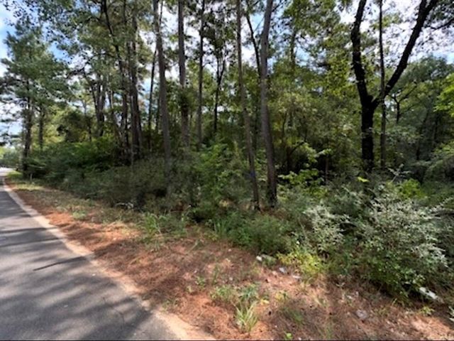 0 Pinebrook Lot 77, Plantersville, TX 77363