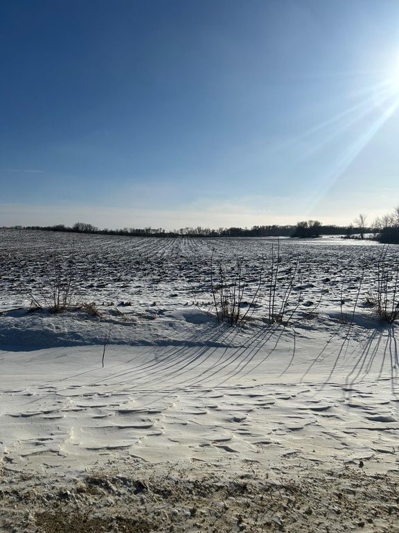 XXXX 285th (180 Acres) Street, Northfield, MN 55057 — photo 4