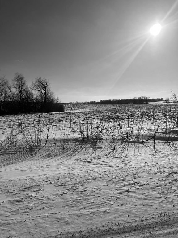 XXXX 285th (180 Acres) Street, Northfield, MN 55057 — photo 5