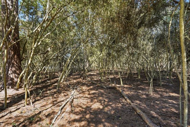 6702 Brown Bark, Magnolia, TX 77354