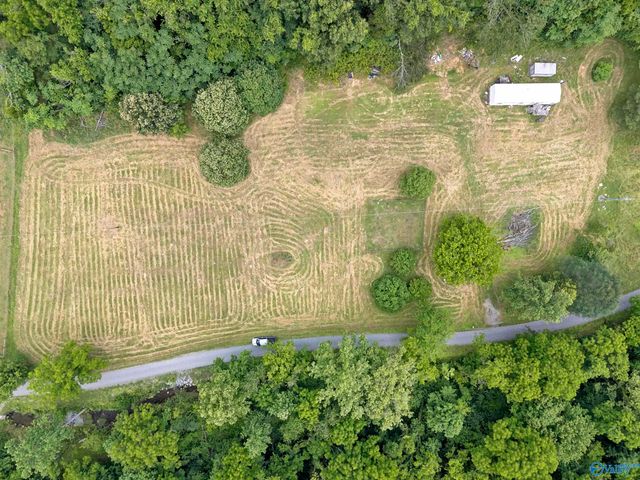55 Thompson Hollow Road, Taft, TN 38488