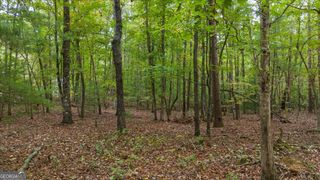0 Rider Road, Dawsonville, GA 30534