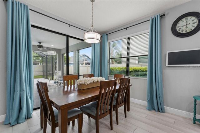 1675 FEATHER GRASS LOOP, Lutz, FL 33558