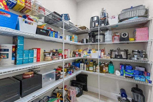 1675 FEATHER GRASS LOOP, Lutz, FL 33558