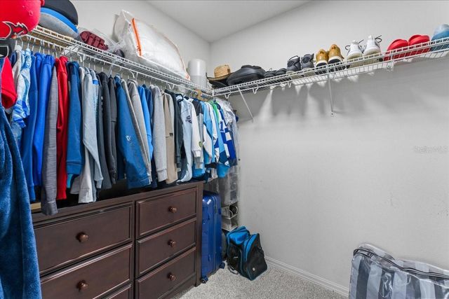 1675 FEATHER GRASS LOOP, Lutz, FL 33558