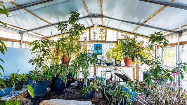 402 Knott Drive, Eutawville, SC 29048