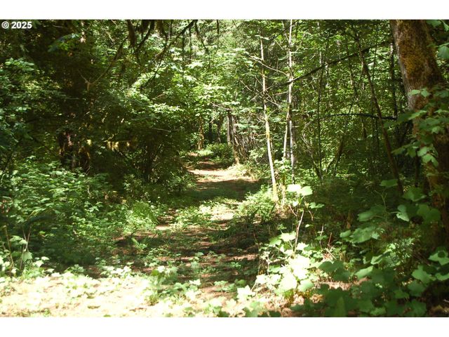 Off of Crooked Finge Rd, Scotts Mills, OR 97375