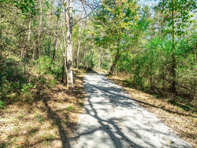 564 Mt Olive Cemetery Rd, Lynnville, TN 38472