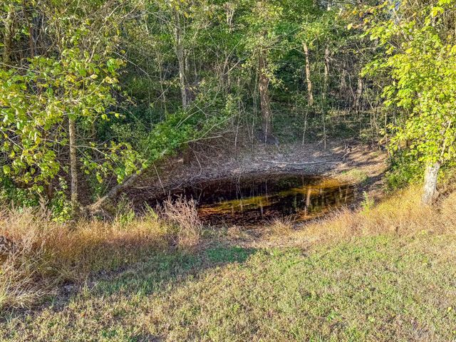 564 Mt Olive Cemetery Rd, Lynnville, TN 38472