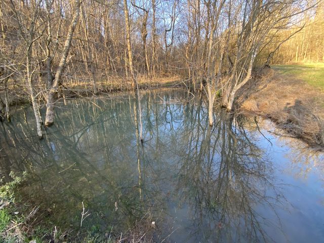 564 Mt Olive Cemetery Rd, Lynnville, TN 38472