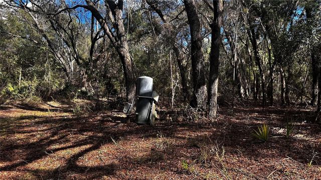 28093 SE HIGHWAY 42, Umatilla, FL 32784