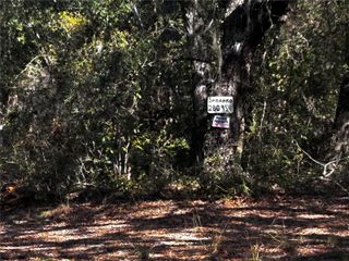 28093 SE HIGHWAY 42, Umatilla, FL 32784