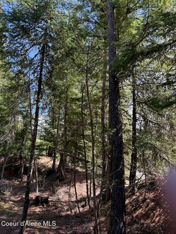 8213 Rapid Lightning RD, Sandpoint, ID 83864