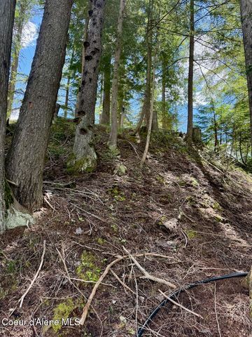 8213 Rapid Lightning RD, Sandpoint, ID 83864