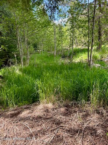 8213 Rapid Lightning RD, Sandpoint, ID 83864