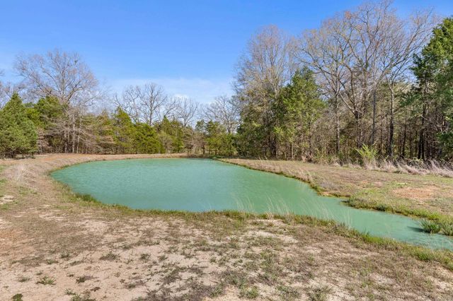125 Louis Rose Lane, Conway, AR 72032