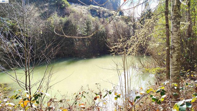 28440 Ryan Creek Road, Willits, CA 95490