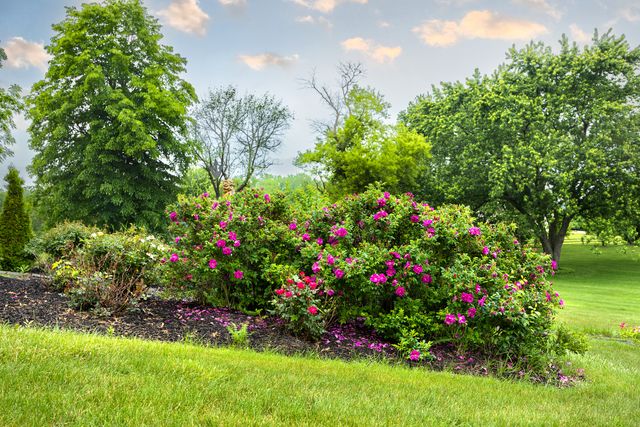 404 Caesar Drive, Barrington Hills, IL 60010