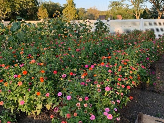 404 Caesar Drive, Barrington Hills, IL 60010