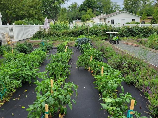 404 Caesar Drive, Barrington Hills, IL 60010