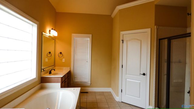 100 Mayfair Court, Madison, AL 35758