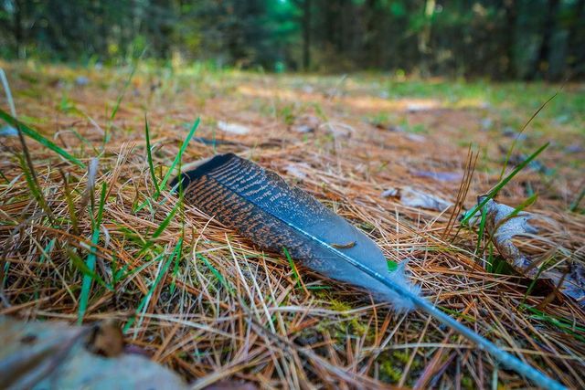 E8359 County Road H, Wisconsin Dells, WI 53965